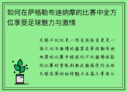 如何在萨格勒布迪纳摩的比赛中全方位享受足球魅力与激情