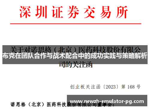 布克在团队合作与战术配合中的成功实践与策略解析