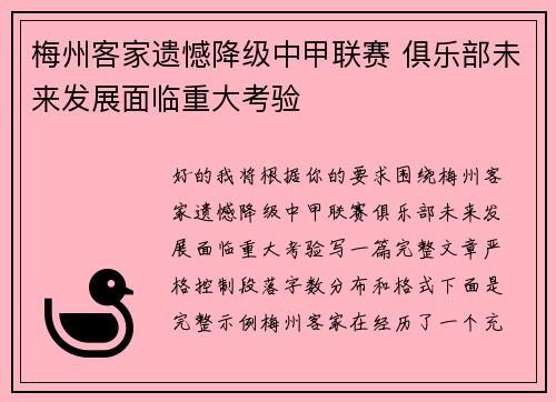 梅州客家遗憾降级中甲联赛 俱乐部未来发展面临重大考验